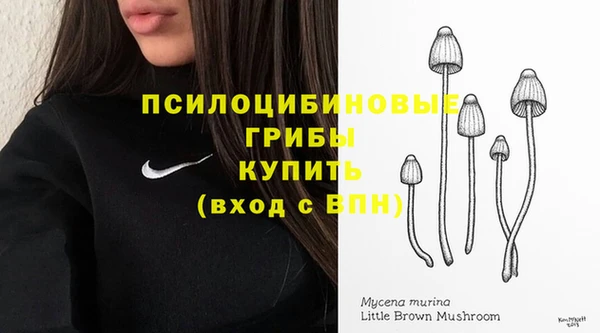 трава Горнозаводск