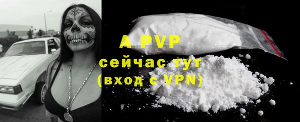 дмт Горняк