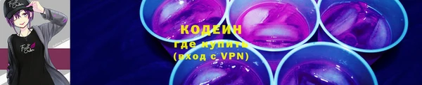 дмт Горняк