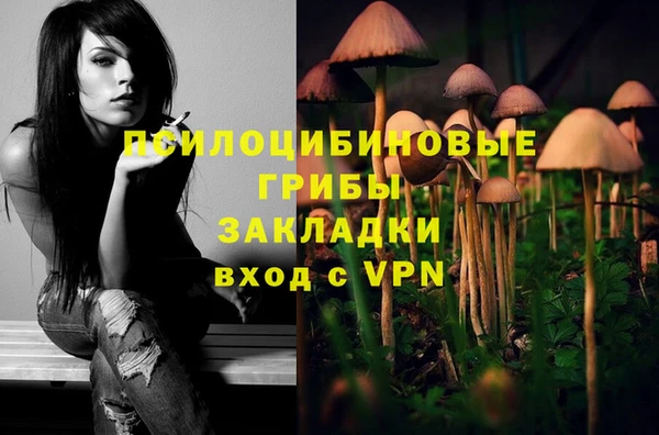 трава Горнозаводск