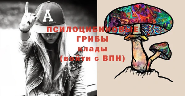 дмт Горняк