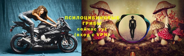 трава Горнозаводск