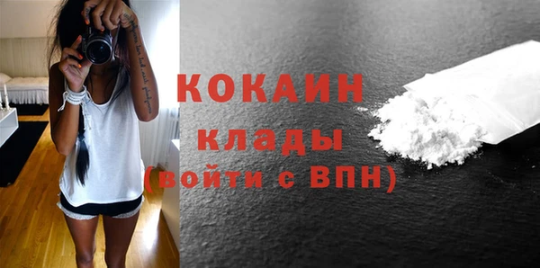 дмт Горняк