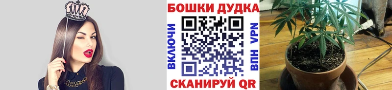 Шишки марихуана OG Kush Томилино